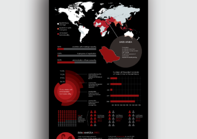 Marriage Inequality Infographic